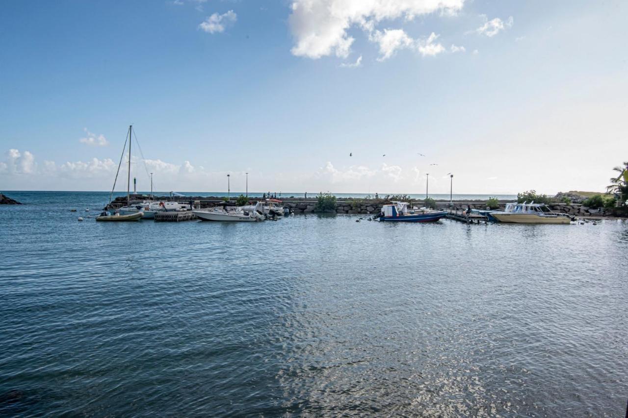Superbe Studio A La Baie Des Pelicans 哥西尔 外观 照片
